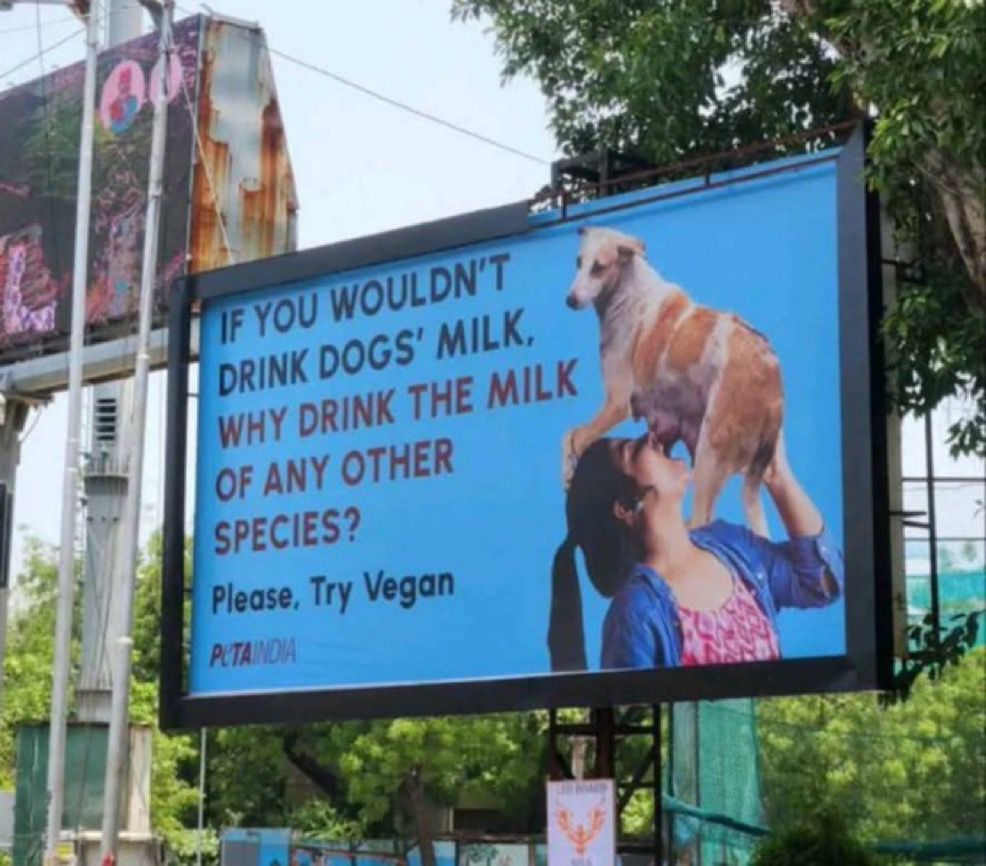 So PETA has woken up after Bakri Eid.
