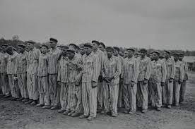 Jews being rounded up in the Belsen concentration camp.