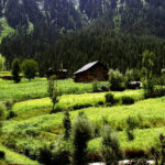 Kashmir